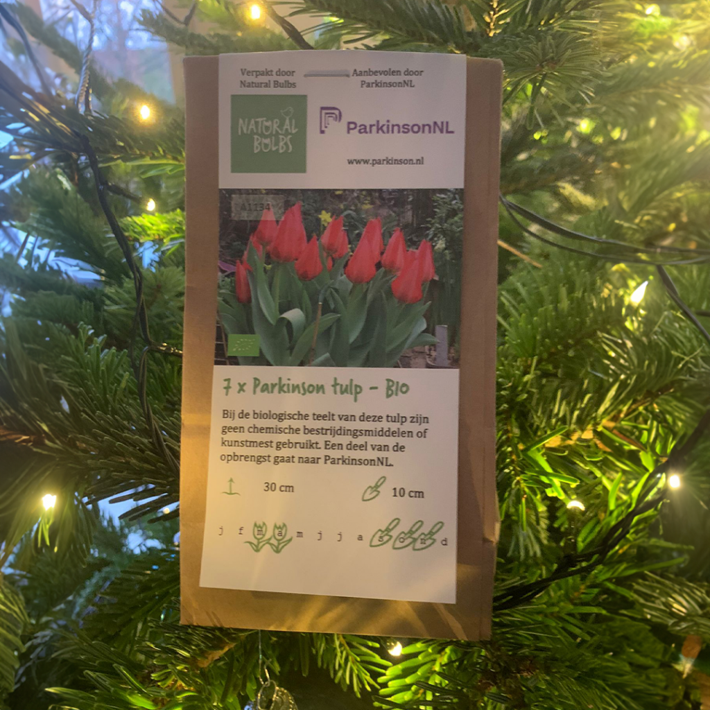 Biologische tulpenbollen onder de kerstboom